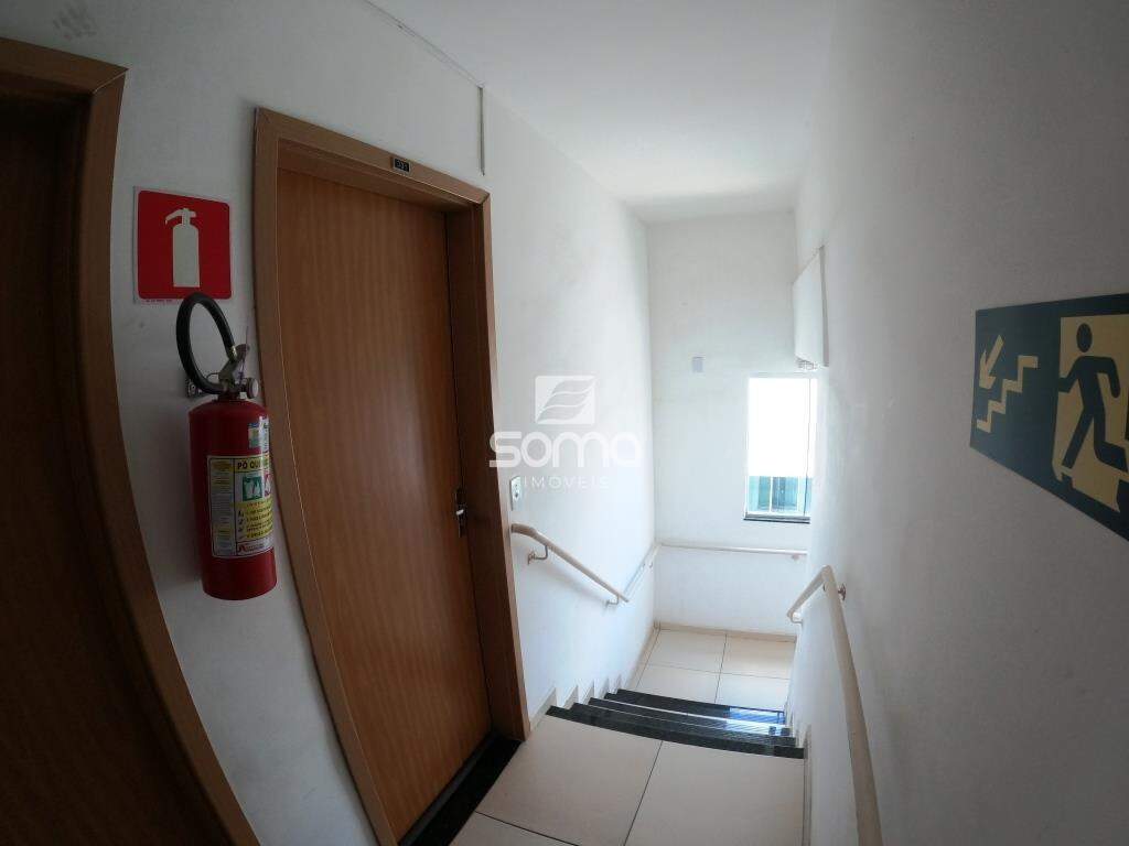 Apartamento para aluguel no Célvia: 