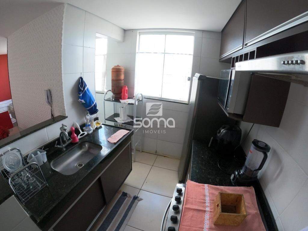 Apartamento para aluguel no Célvia: 