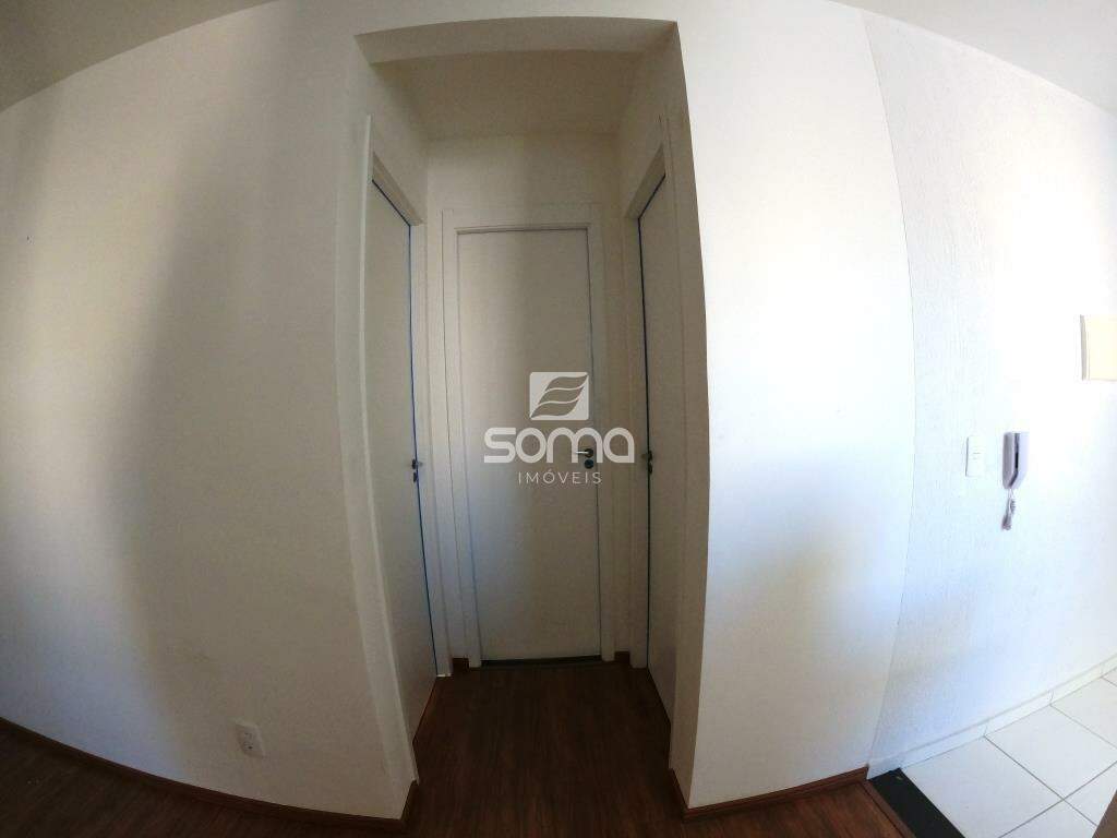 Apartamento para aluguel no Bernardo de Souza: