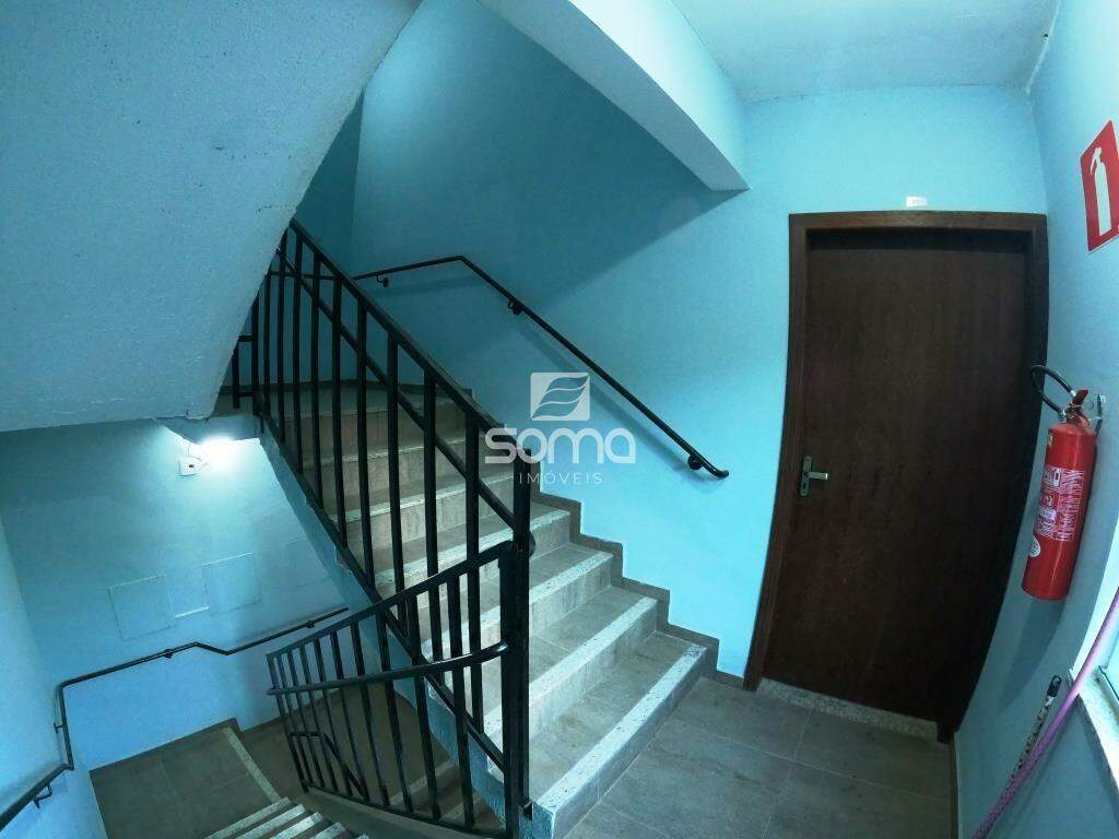 Apartamento para aluguel no Nova Pampulha : 