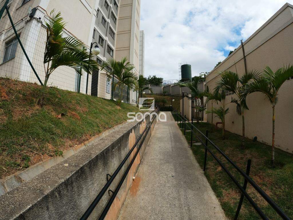 Apartamento para aluguel no Nova Pampulha : 