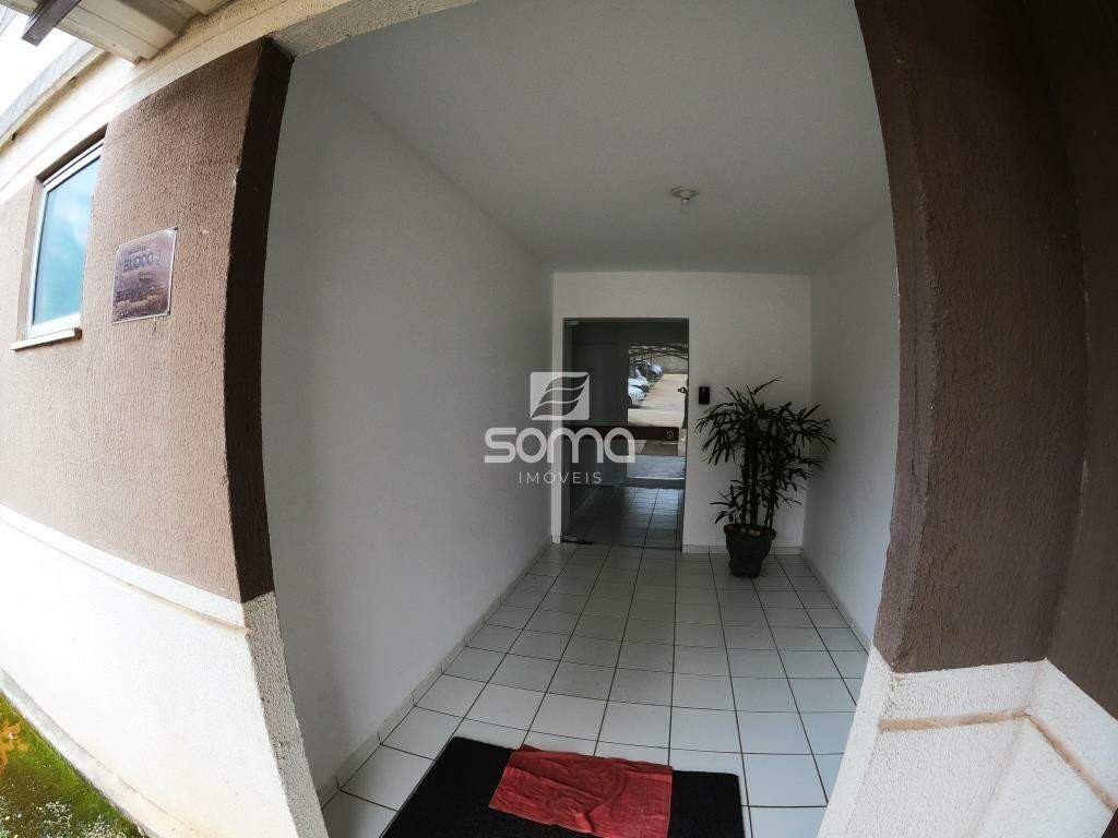 Apartamento para aluguel no Célvia: 
