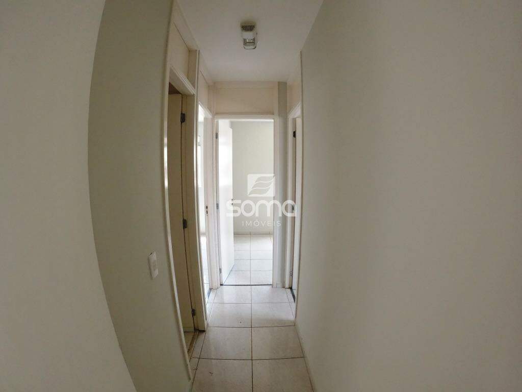 Apartamento para aluguel no Célvia: 