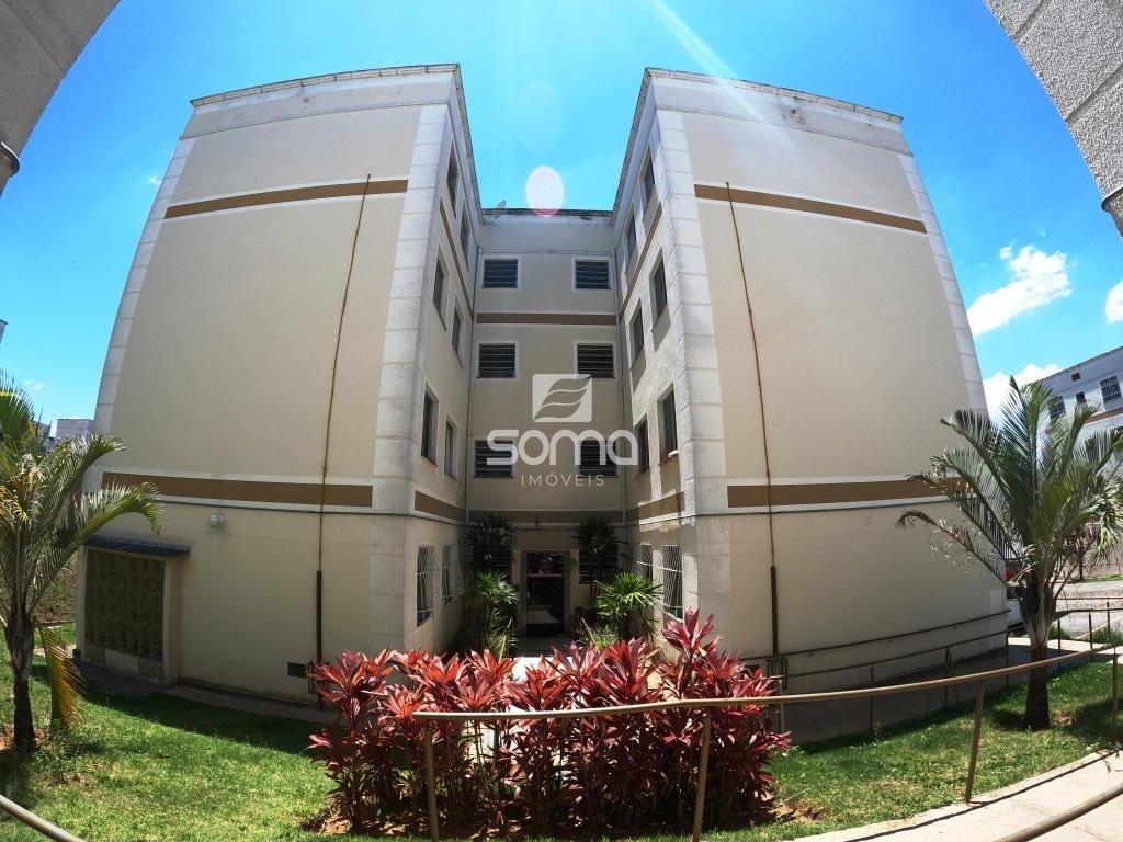 Apartamento para aluguel no Gávea II: