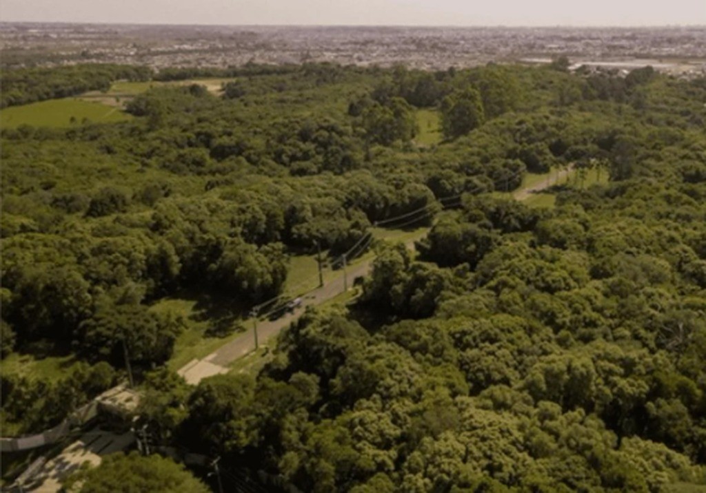 Terreno em condomínio à venda no Alphaville Graciosa: 24771437_4.jpg
