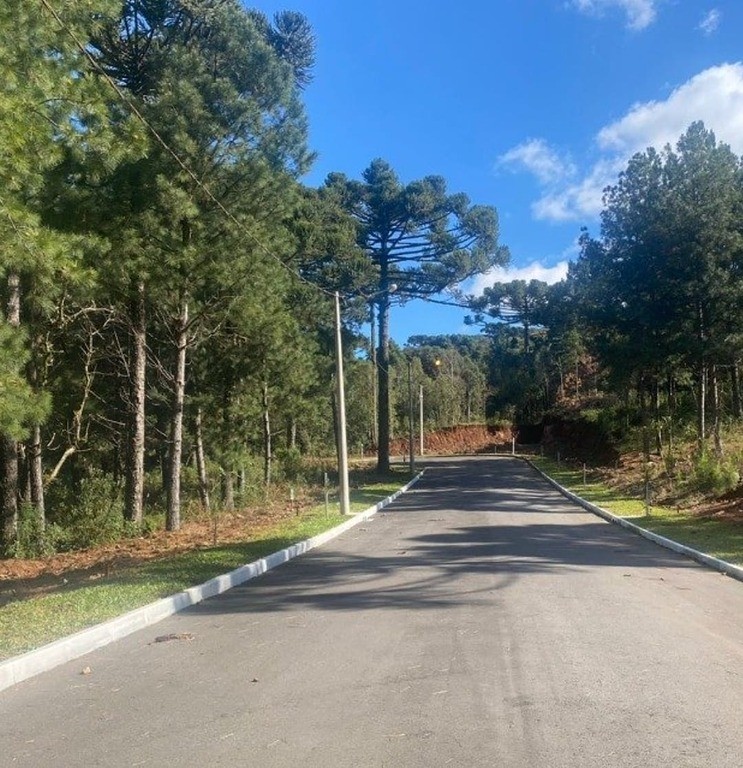 Terreno à venda no Dutra: 24442609_4.jpg