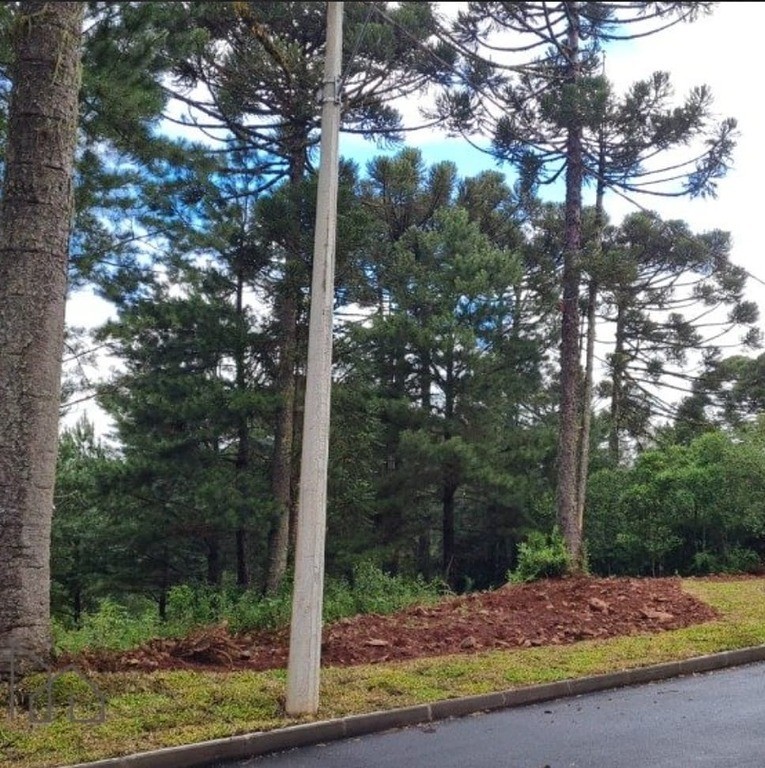 Terreno à venda no Dutra: 24442610_4.jpg