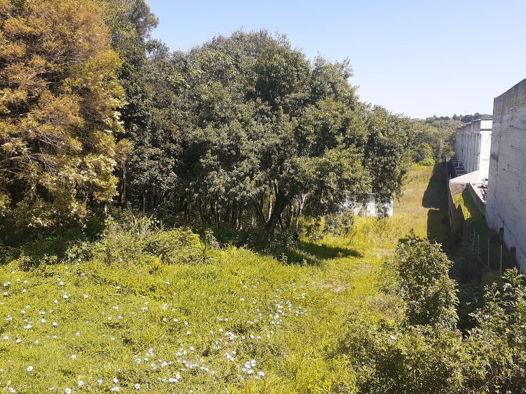 Terreno à venda no Cidade Industrial: 24501063_4.jpg