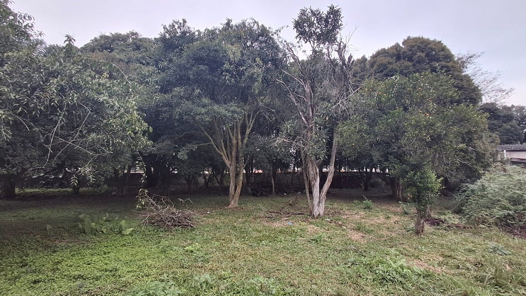 Terreno à venda no Orleans: 24513873_4.jpg