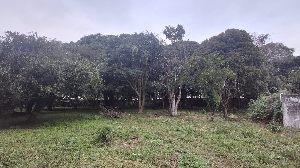 Terreno à venda no Orleans: 24513876_4.jpg