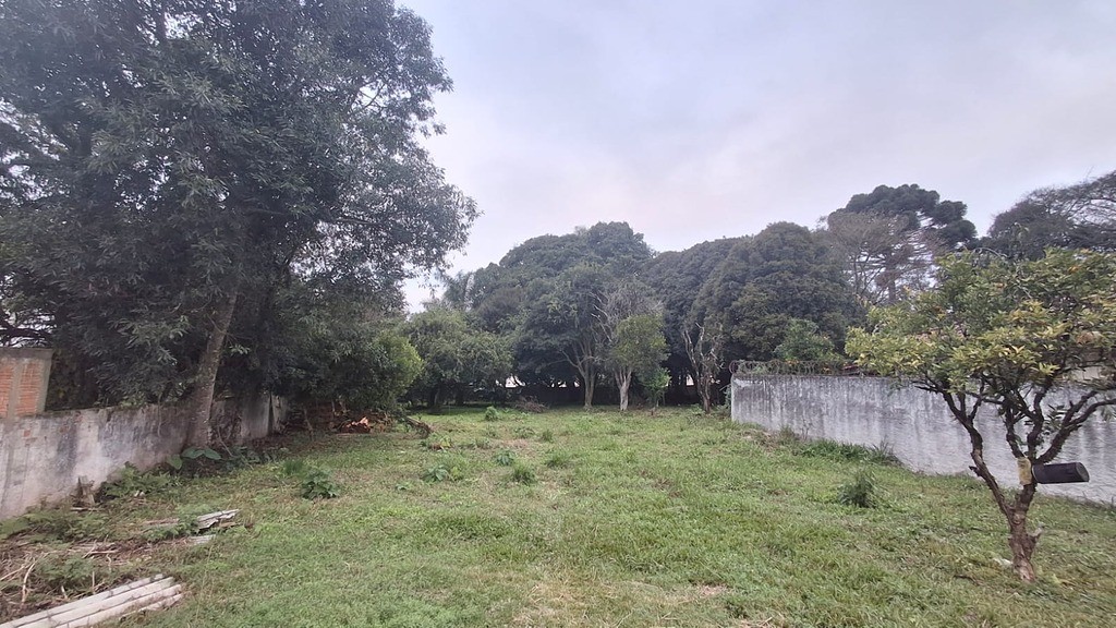 Terreno à venda no Orleans: 24513877_4.jpg