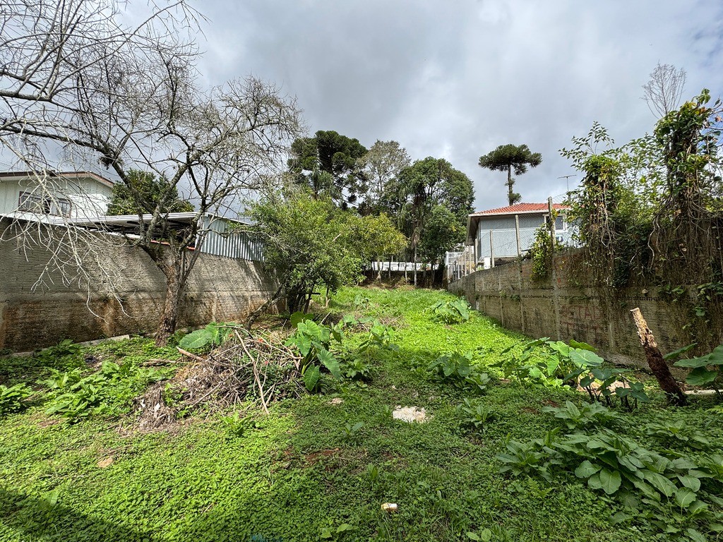 Terreno à venda no Campo Comprido: 24946029_4.jpg