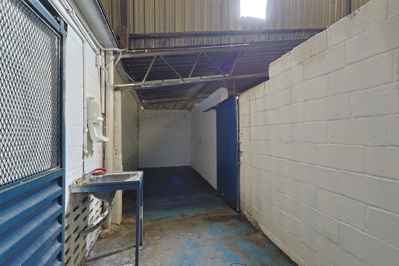 Galpão para aluguel no Kennedy: 