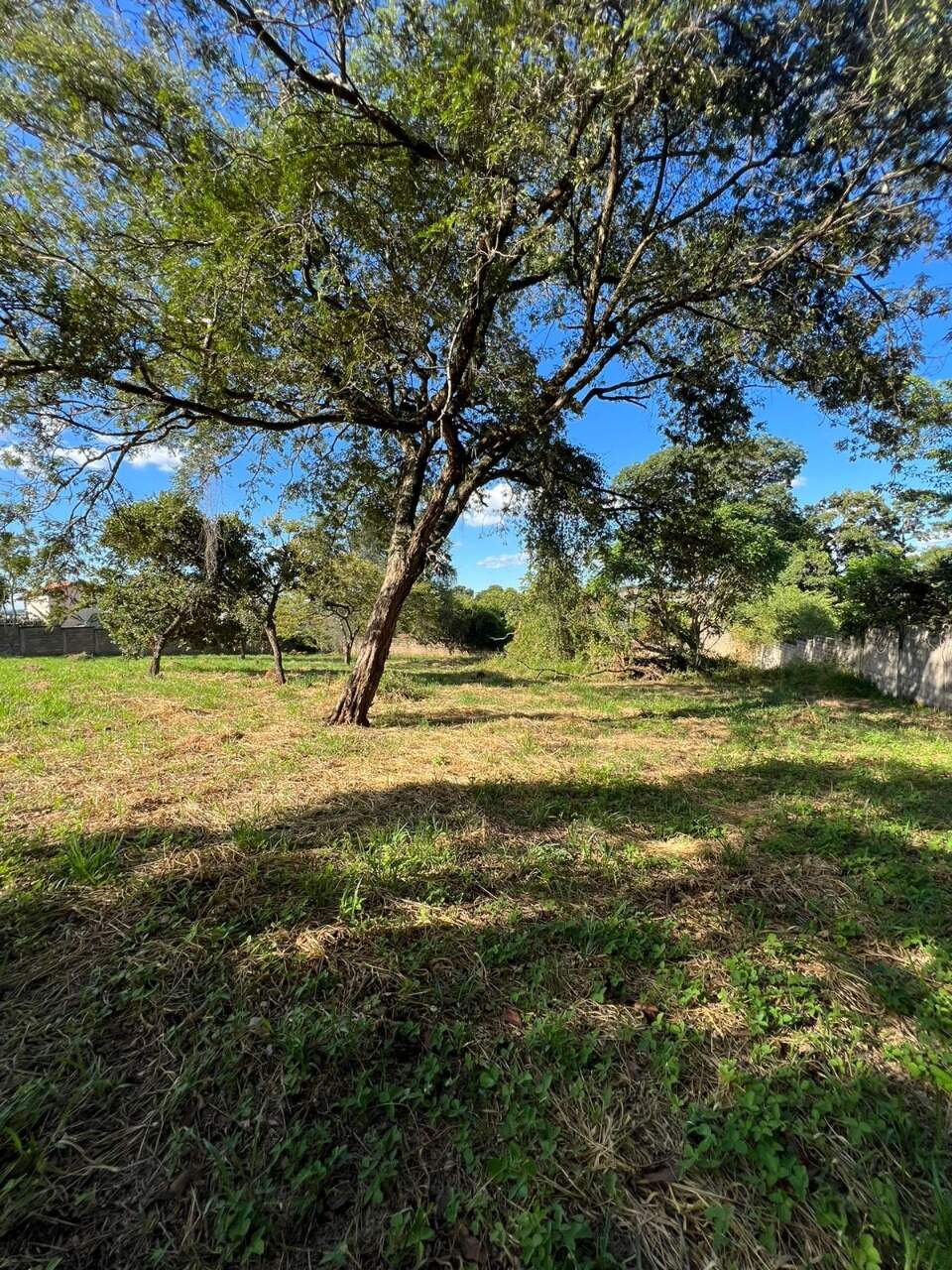 Lote à venda no Hibiscos: 