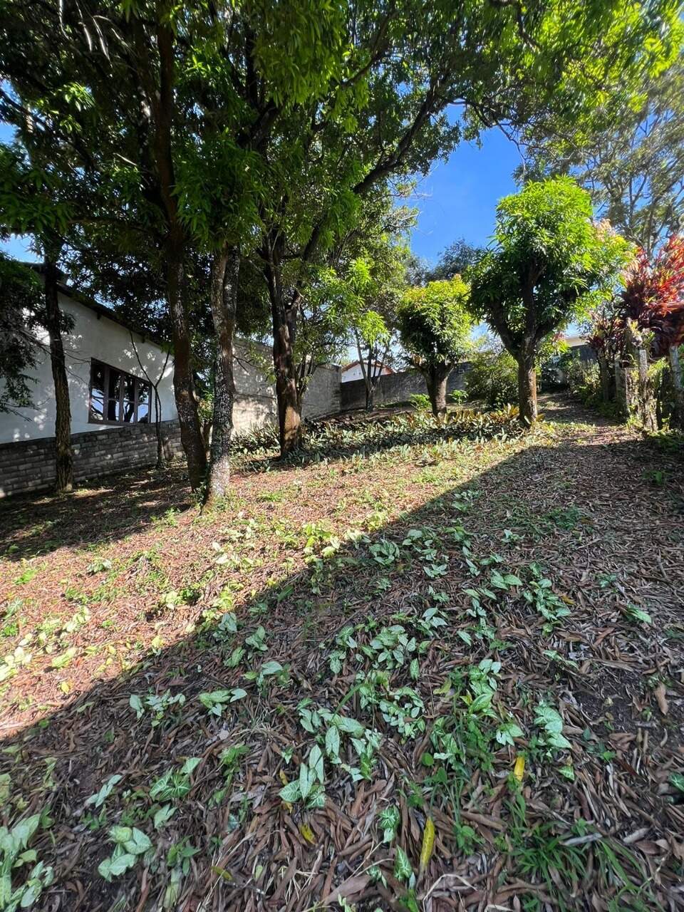 Lote à venda no Roberto Belisário: 