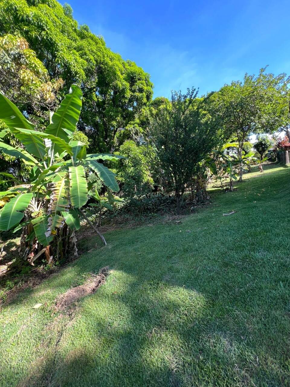 Lote à venda no Roberto Belisário: 