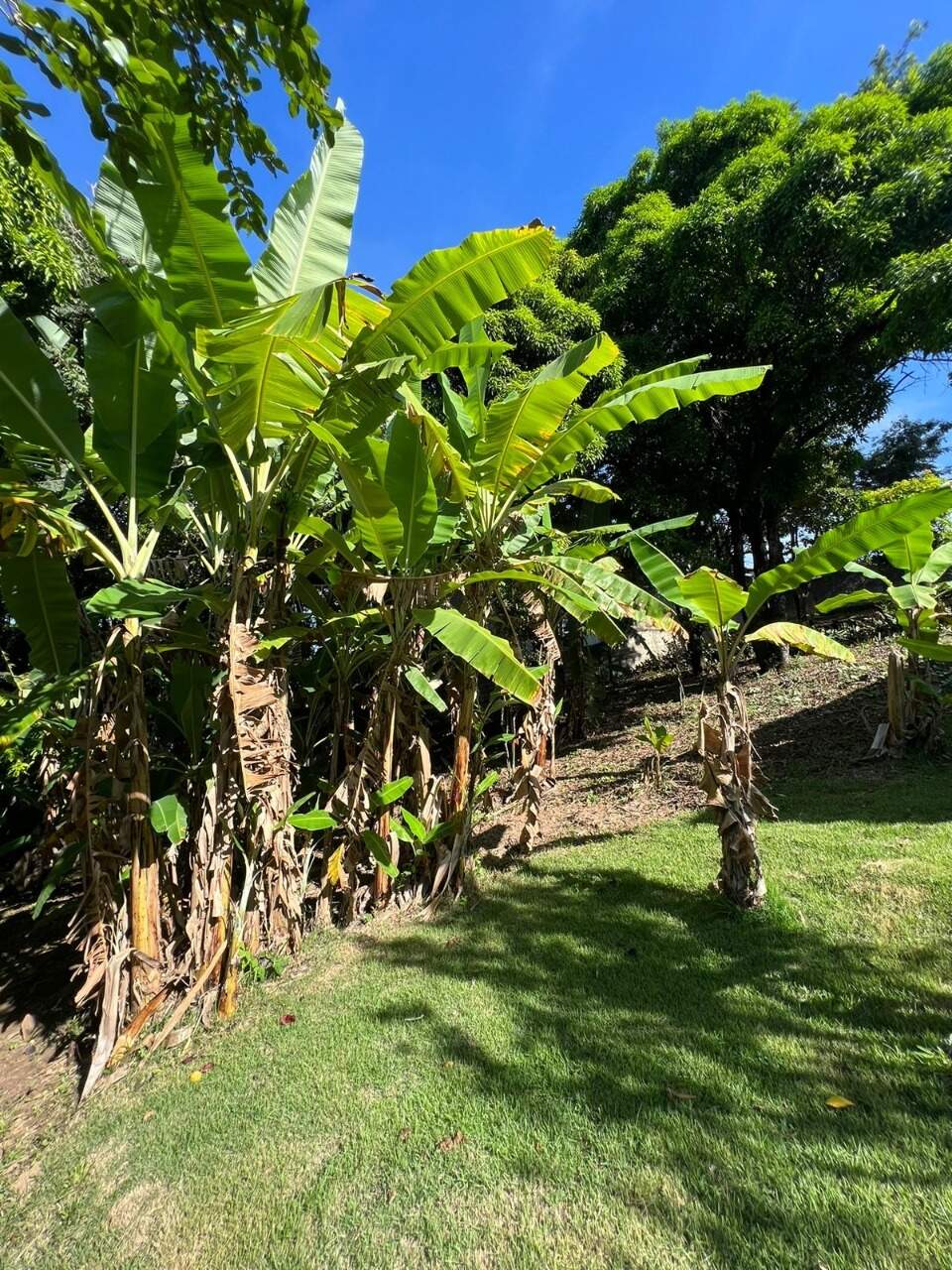 Lote à venda no Roberto Belisário: 