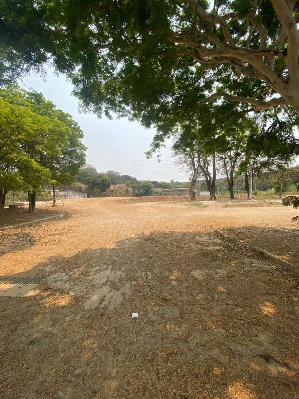 Terreno / Área para aluguel no Centro: 