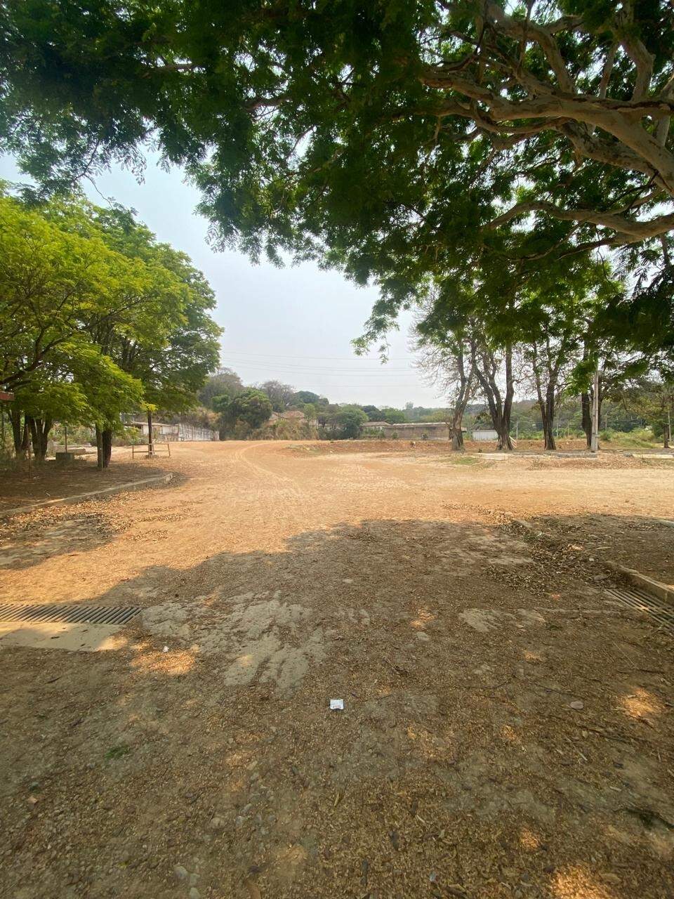 Terreno / Área para aluguel no Centro: 