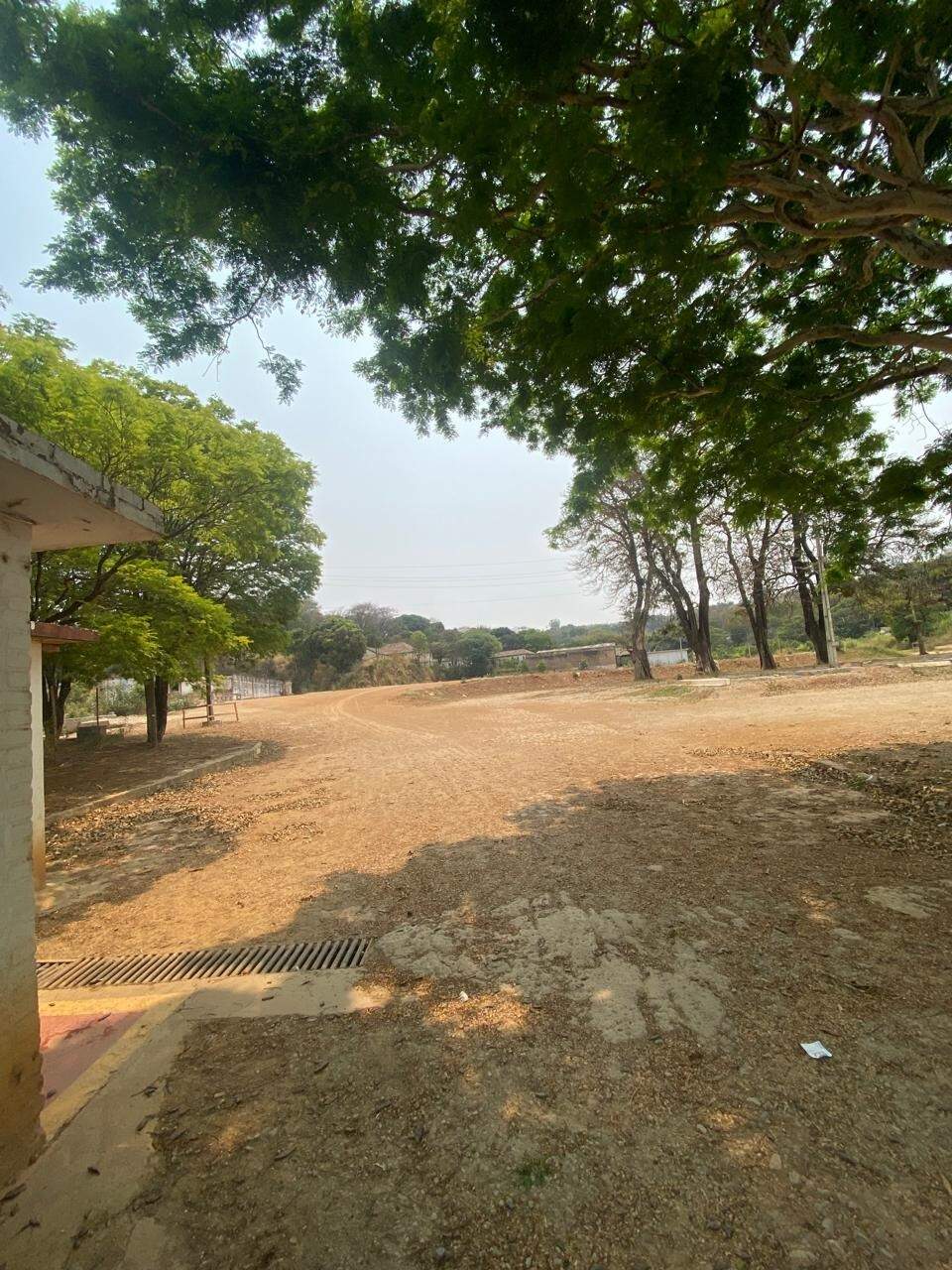 Terreno / Área para aluguel no Centro: 
