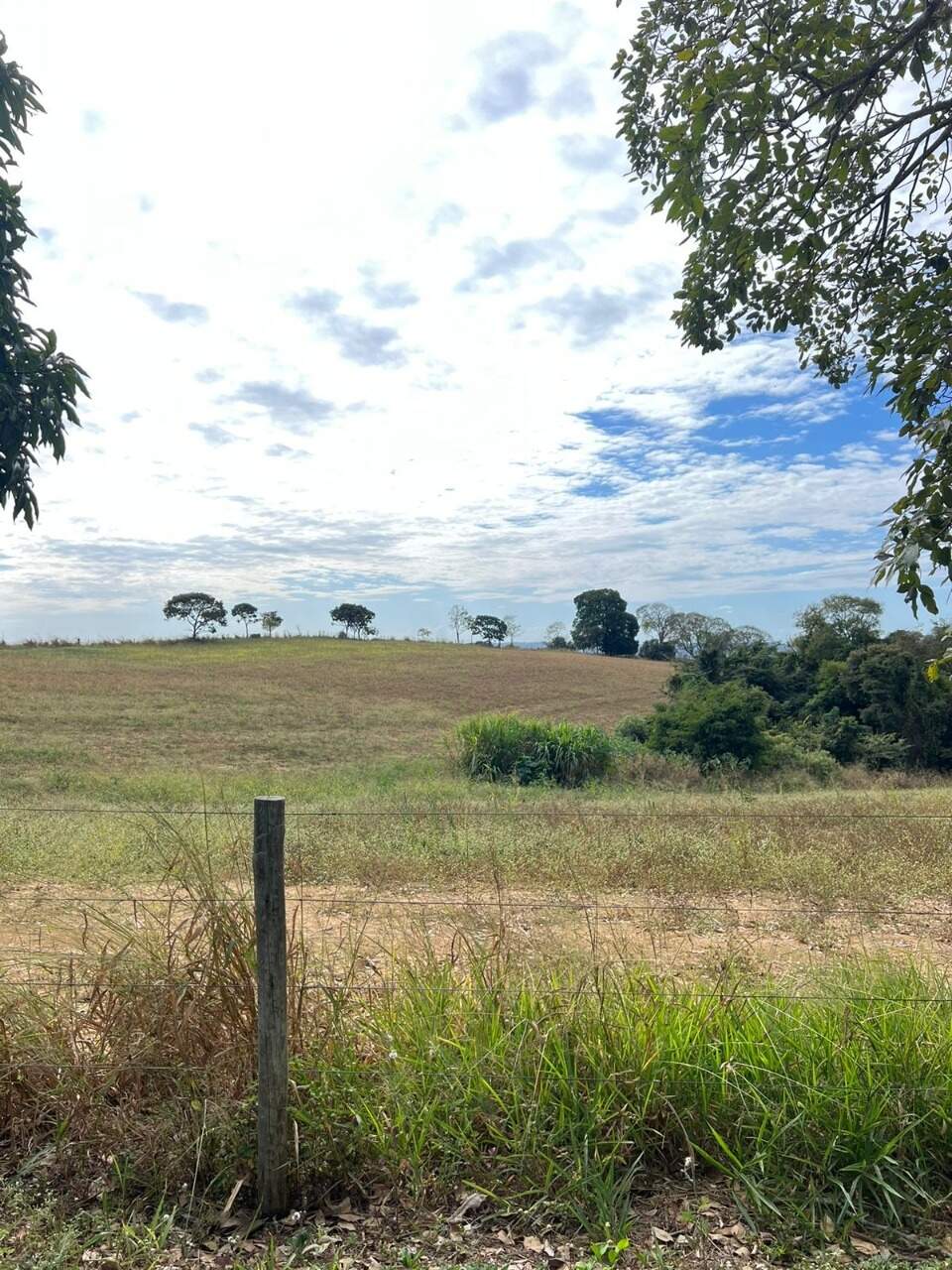 Fazenda à venda no Ponte Alta: 
