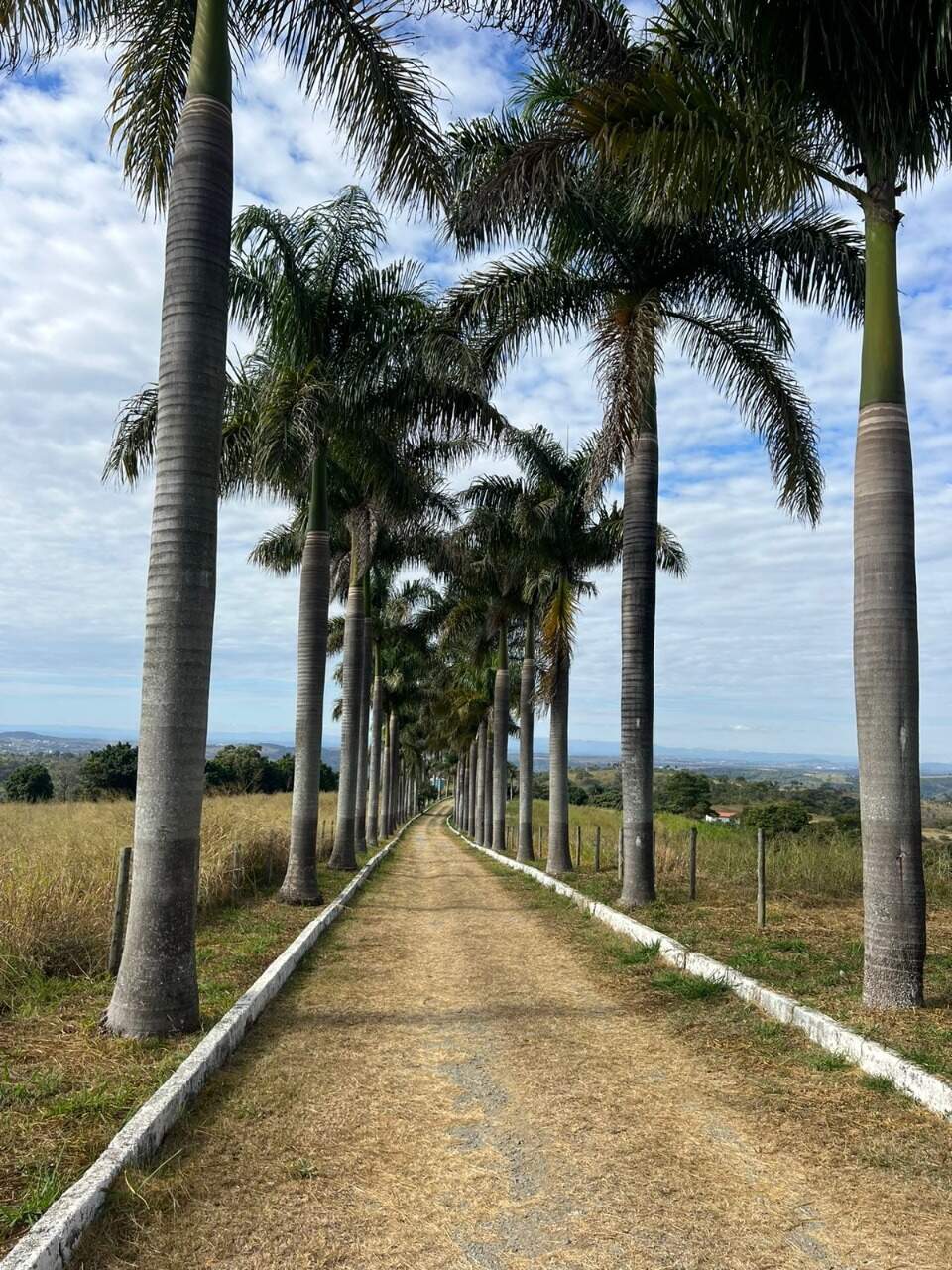 Fazenda à venda no Ponte Alta: 