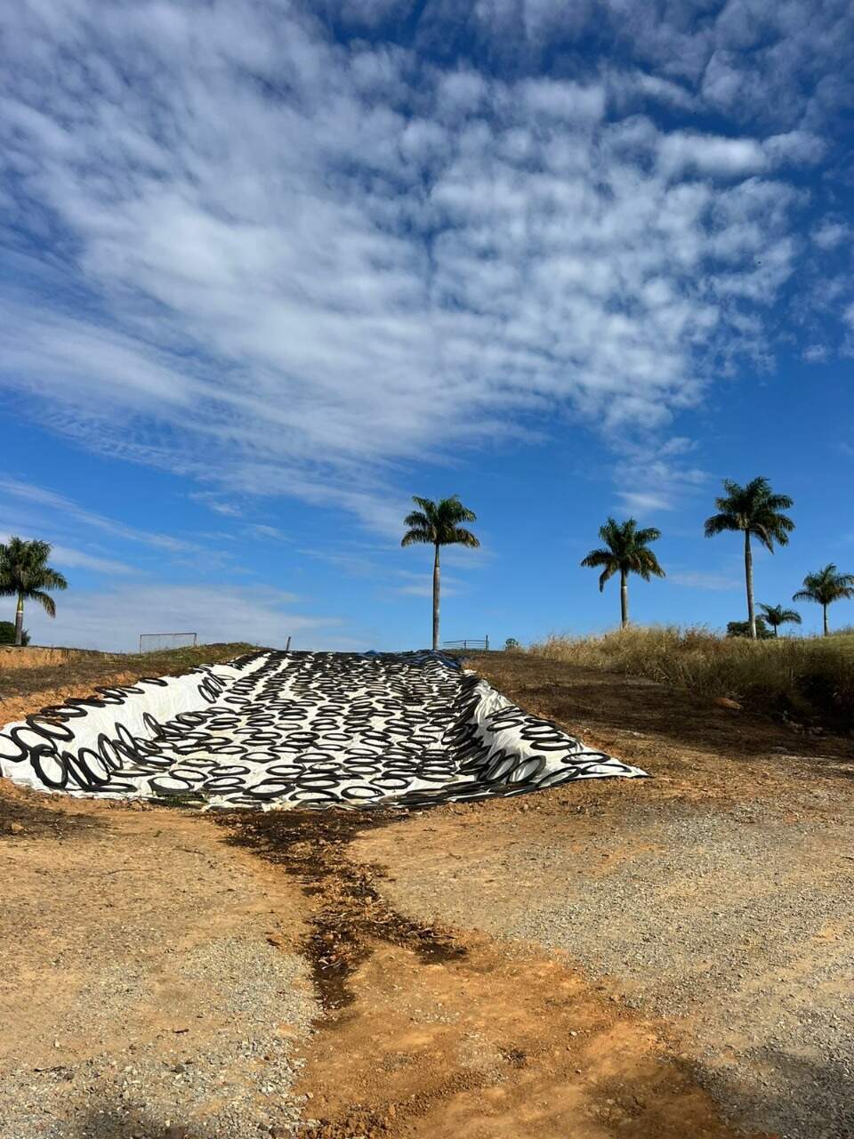Fazenda à venda no Ponte Alta: 