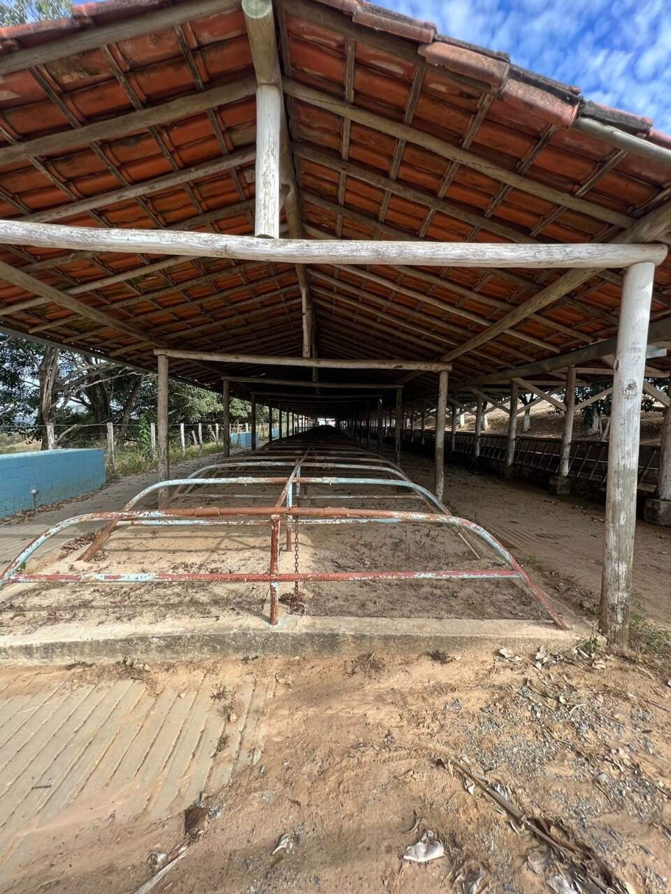 Fazenda à venda no Ponte Alta: 
