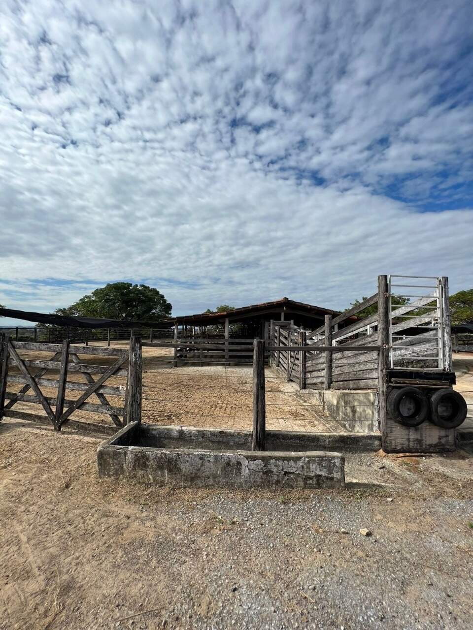 Fazenda à venda no Ponte Alta: 