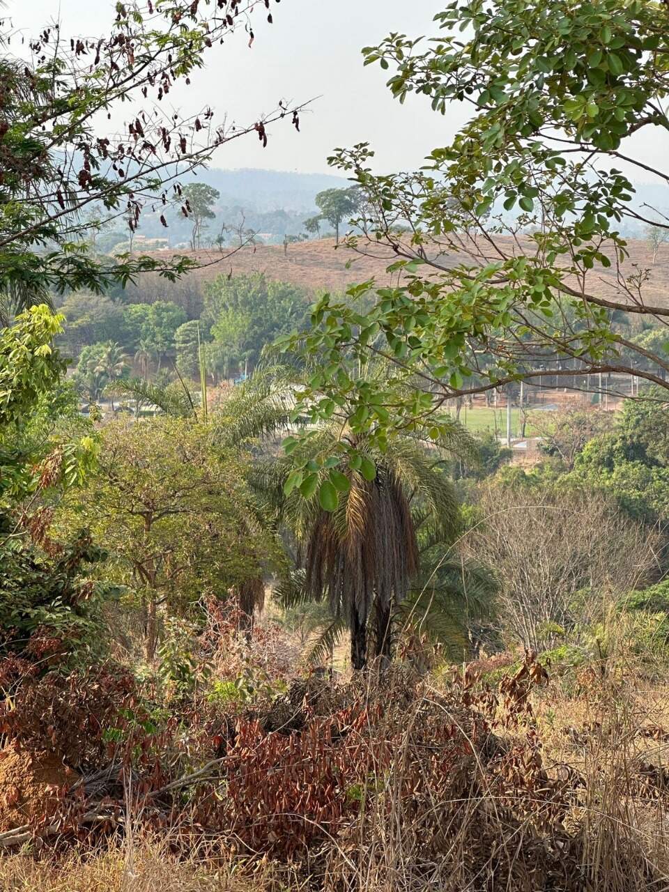 Lote à venda no Santo Antonio da Barra: 