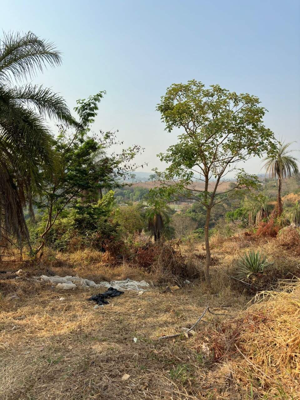 Lote à venda no Santo Antonio da Barra: 
