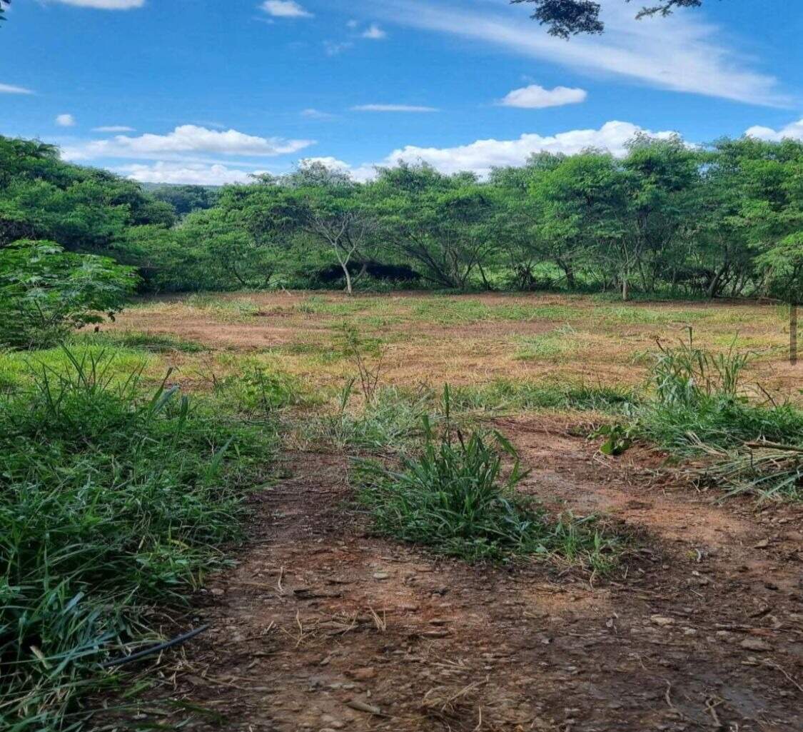 Terreno / Área à venda no Santo Antonio da Barra: 