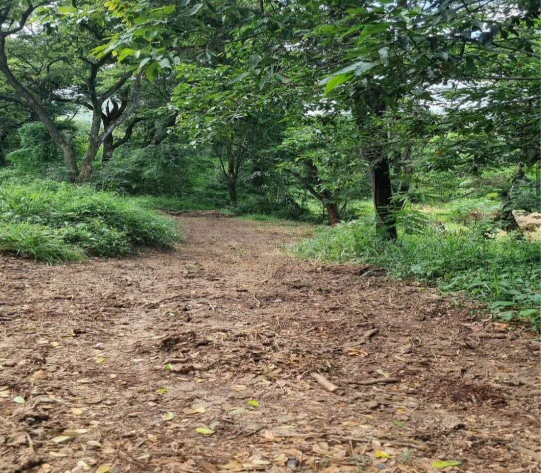 Terreno / Área à venda no Santo Antonio da Barra: 