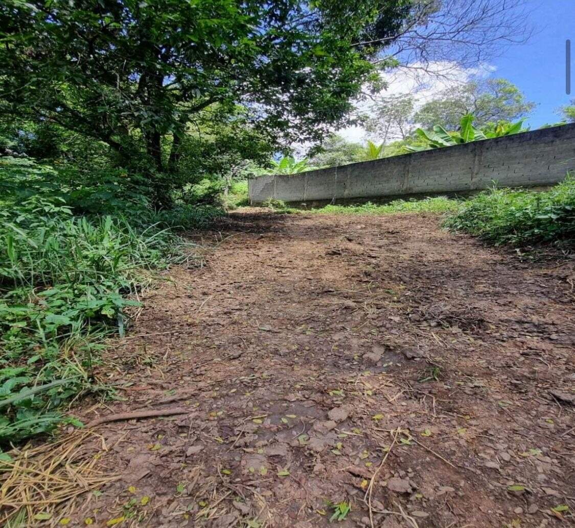 Terreno / Área à venda no Santo Antonio da Barra: 