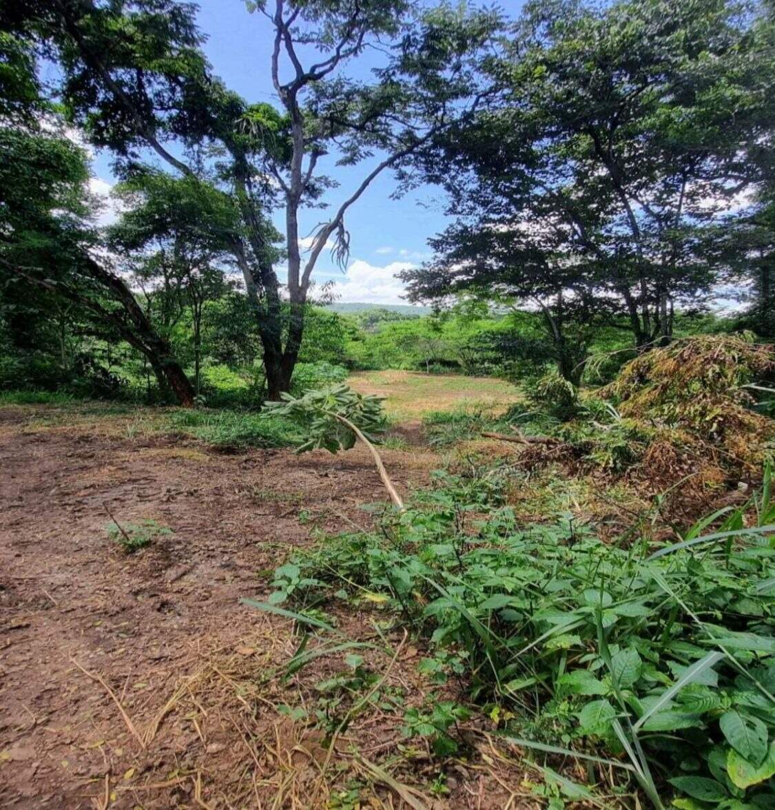 Terreno / Área à venda no Santo Antonio da Barra: 