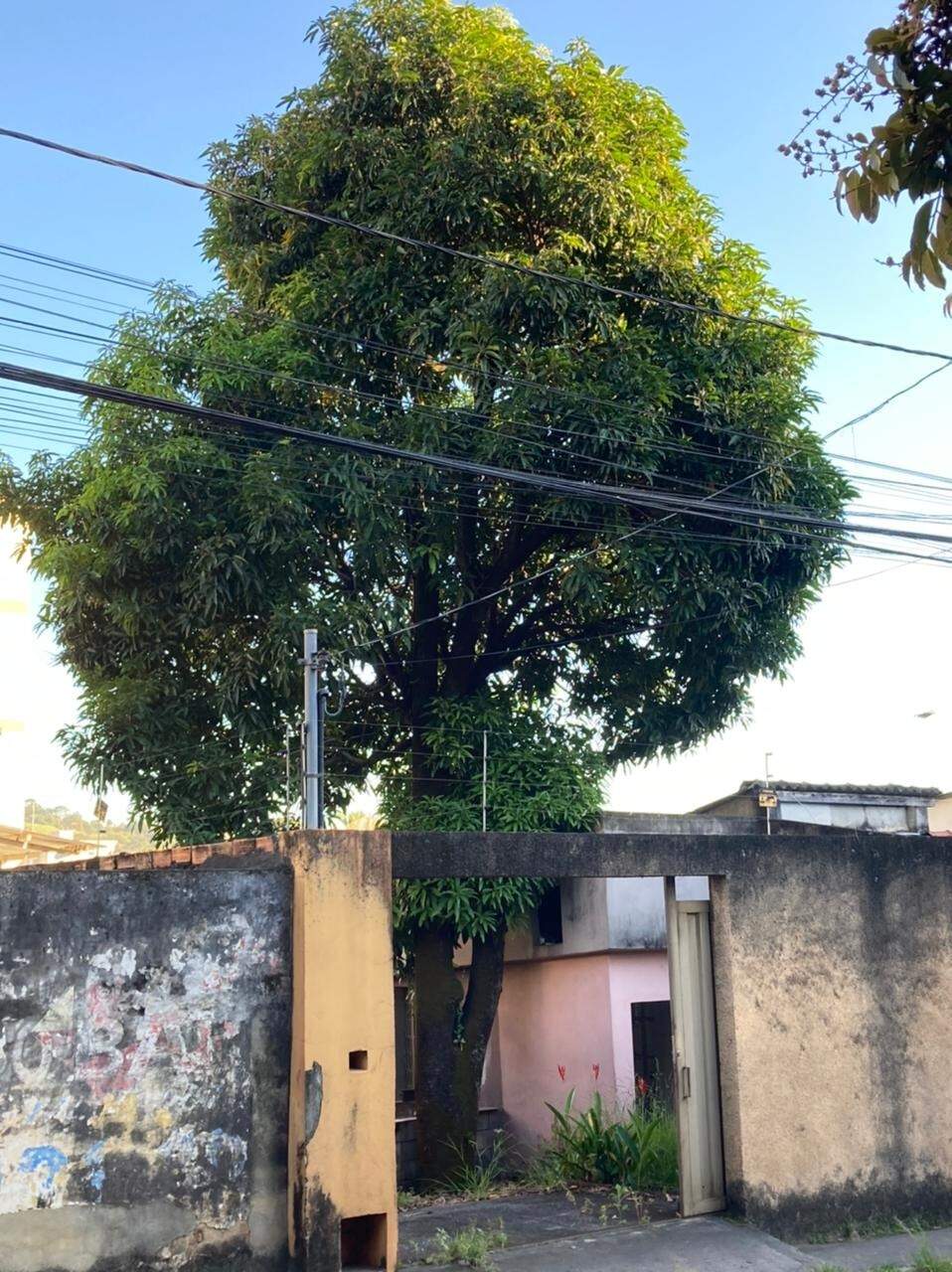 Casa à venda no Magalhães: 
