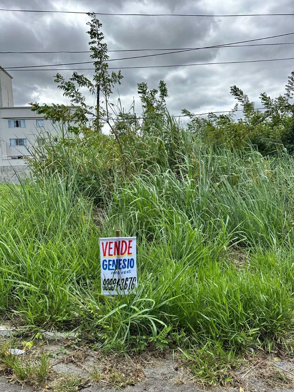 Lote à venda no Sonia Romanelli: 