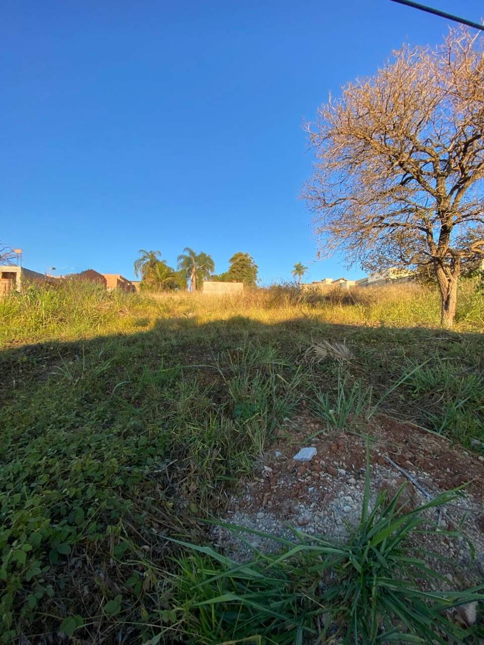 Lote à venda no Maria Cândida: 