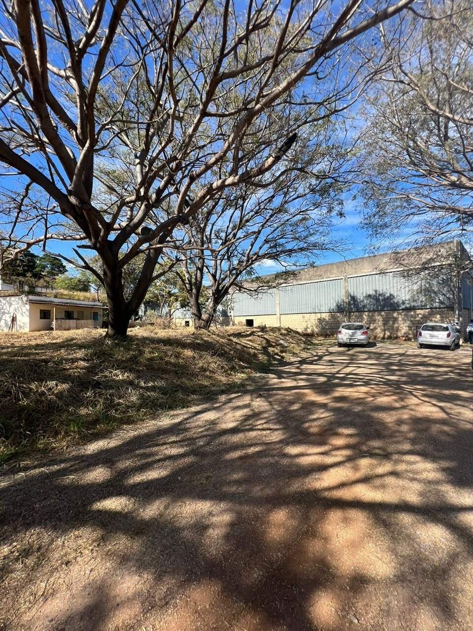 Galpão para aluguel no teotonio batista: 