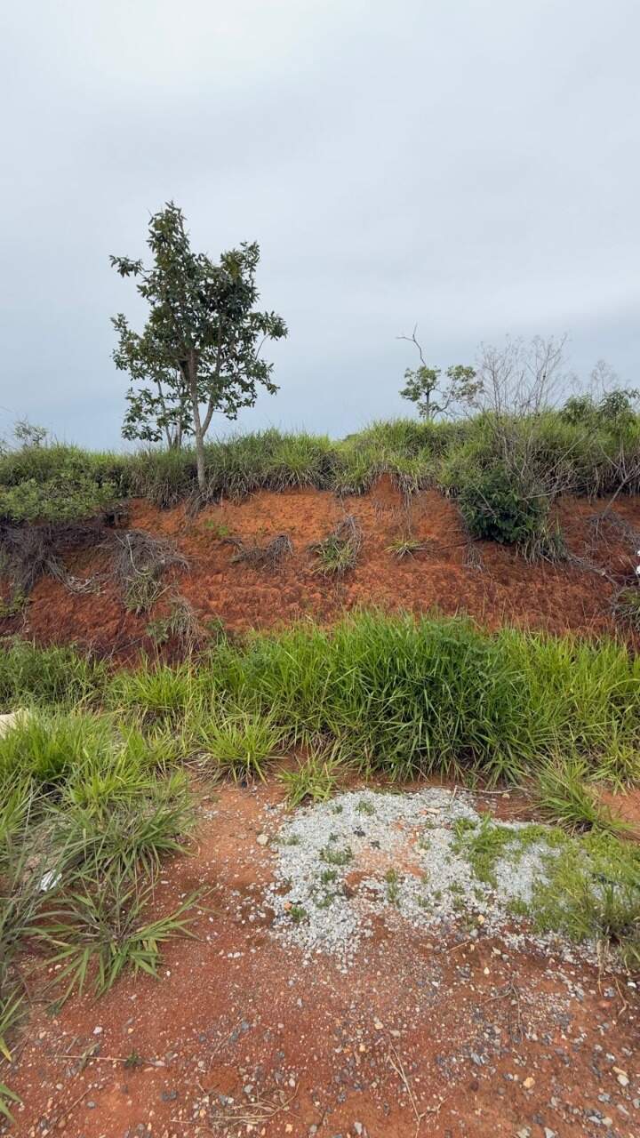 Lotes em Condomínio à venda no Vitoria Tenis Residence: 