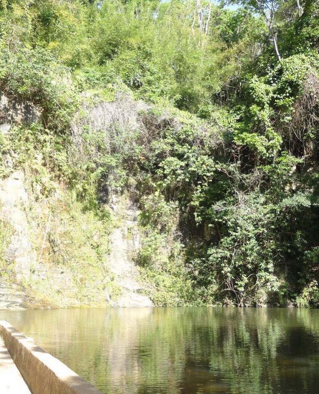 Terreno / Área à venda no Santo Antonio da Barra: 