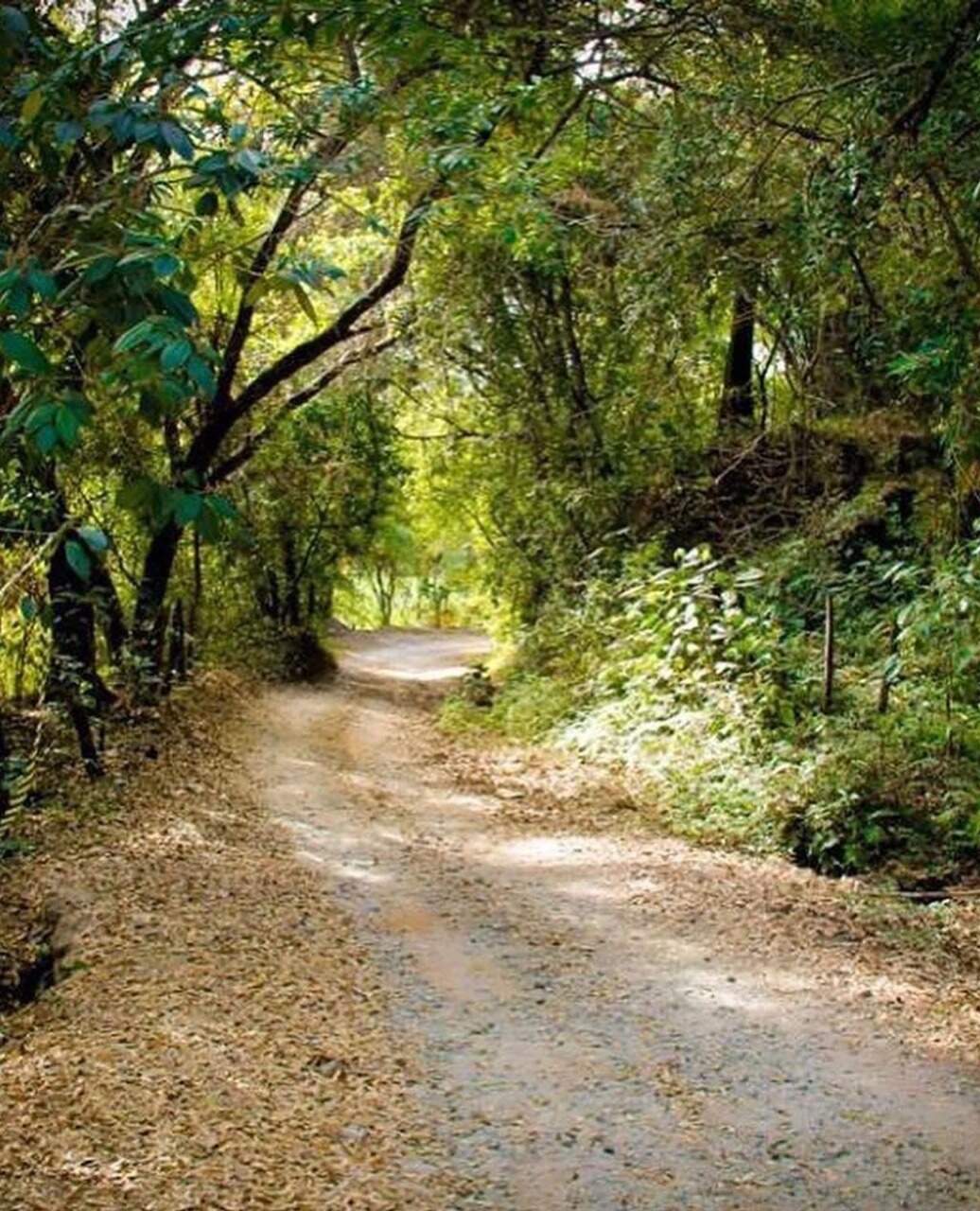 Terreno / Área à venda no Santo Antonio da Barra: 
