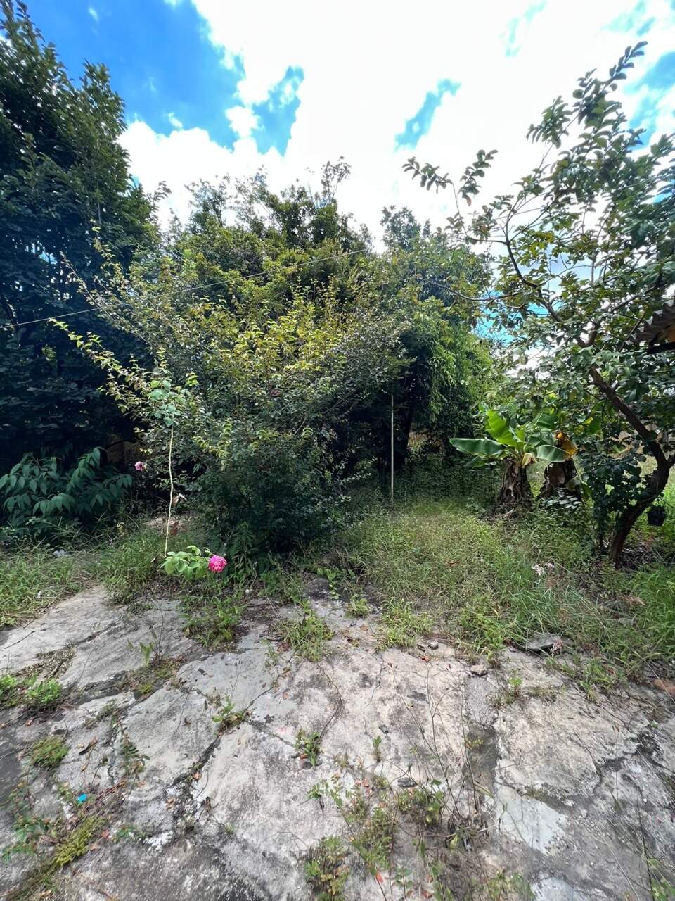 Casa à venda no Centro: 