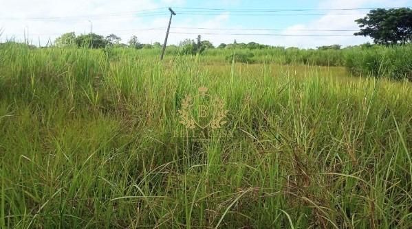 Lote à venda no Viaduto: 