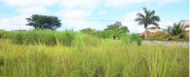 Lote à venda no Viaduto: 