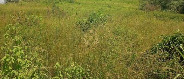 Lote à venda no Viaduto: 