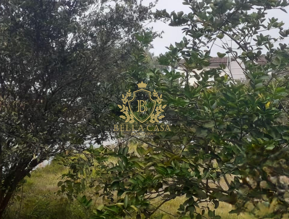 Terreno à venda no São Francisco: 