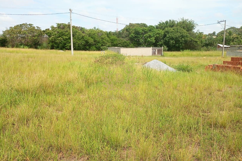 Lote em condomínio à venda no Fazendinha: 