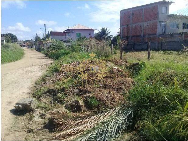 Lote para aluguel no Parque Mataruna: 