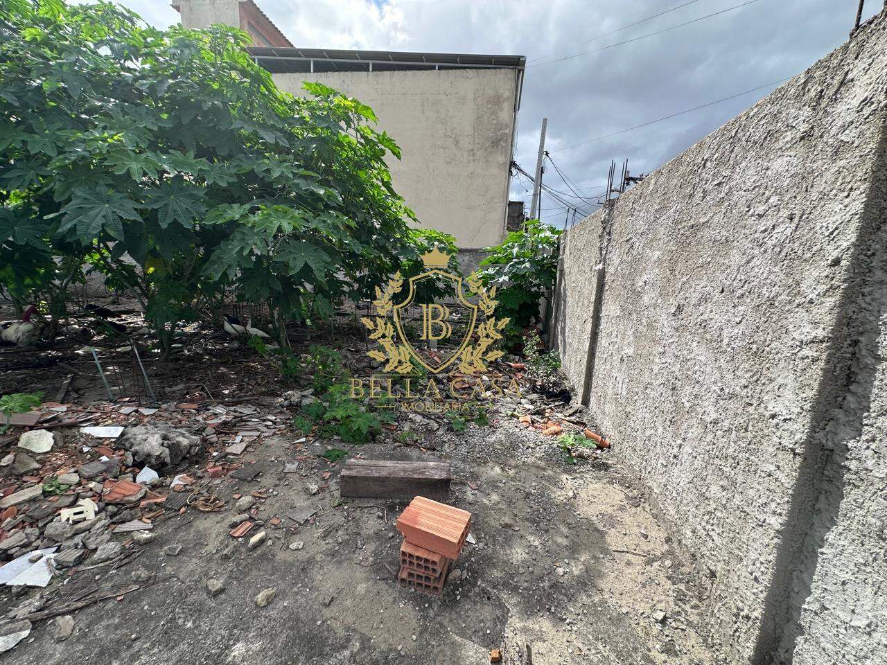 Terreno para aluguel no Braga: 